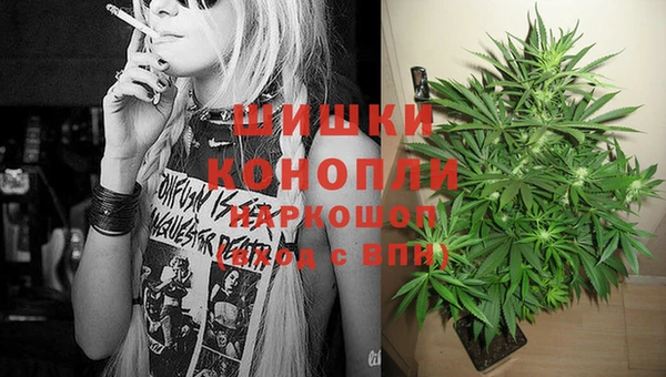 гидропоника Алексеевка