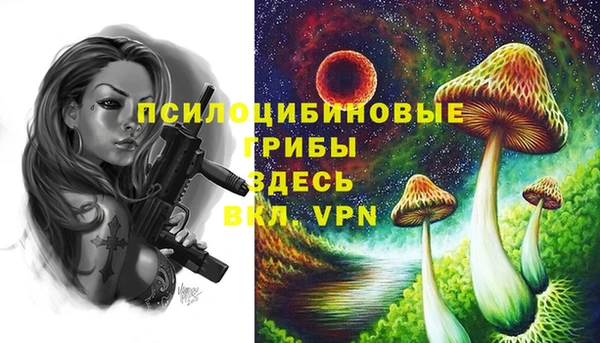 гидропоника Алексеевка